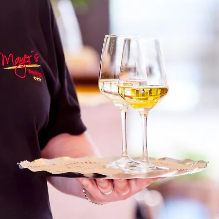 Отель Mayer's Weinhotel