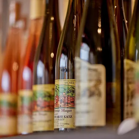 Отель Mayer's Weinhotel