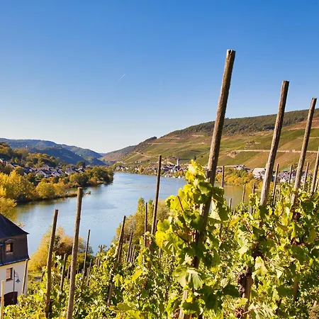 Mayer's Weinhotel 3*