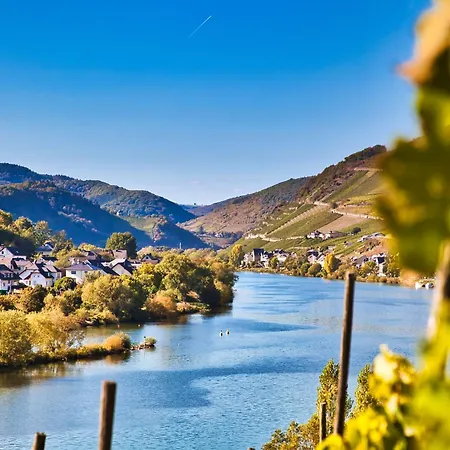 Hotel Mayer's Weinhotel