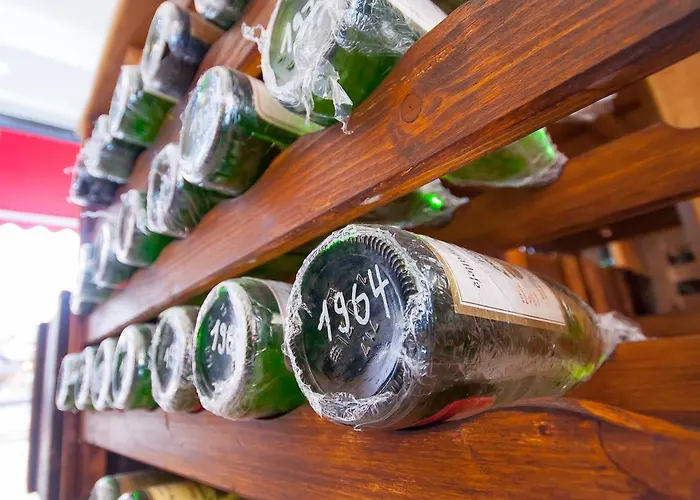 Otel Weinhotel Mayer