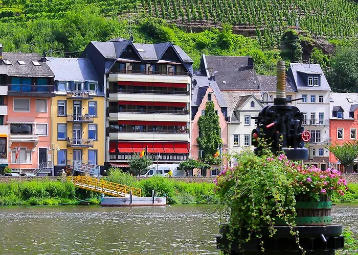 호텔 Weinhotel Mayer 3*