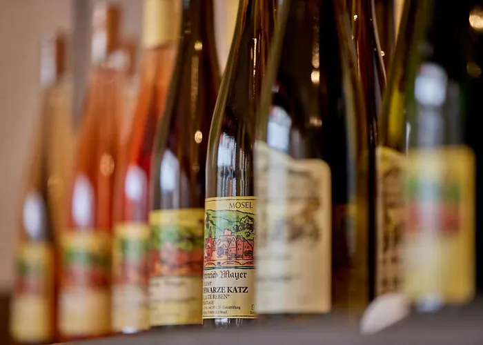 호텔 Weinhotel Mayer