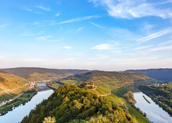 Weinhotel Mayer 첼 안 데어 모젤