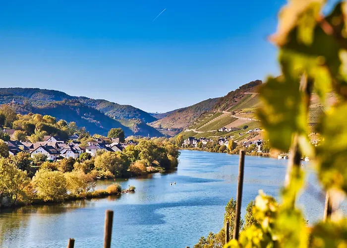 호텔 Weinhotel Mayer