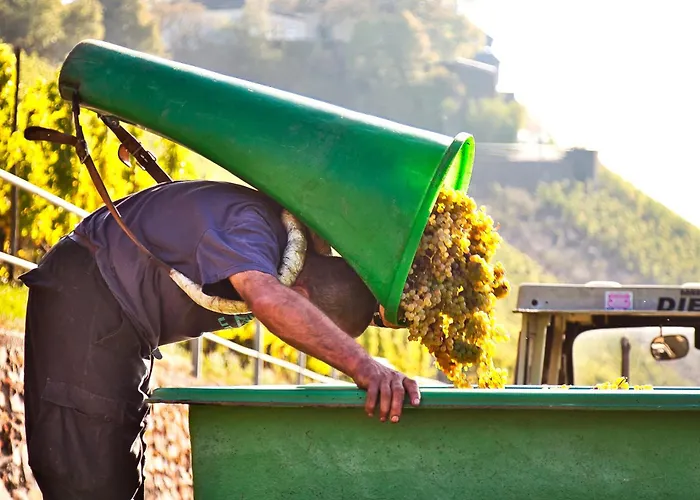 Weinhotel Mayer 호텔 3*